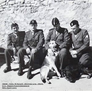 9e Hussards- Lamy 033